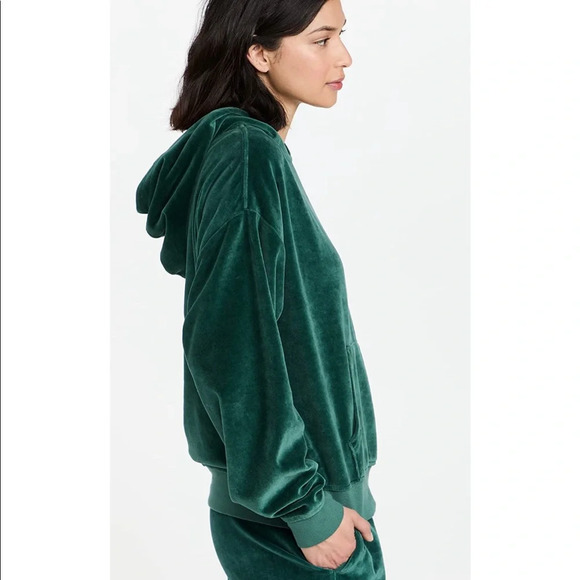 NWT $148 WSLY Eco Plush Classic Pocket Hoodie in Tourmaline Small - Picture 7 of 12